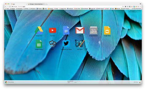 themes for google Chrome